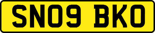 SN09BKO