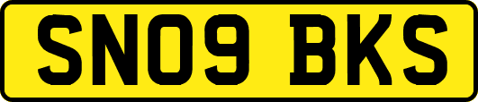 SN09BKS