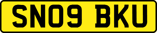 SN09BKU