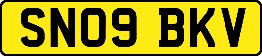 SN09BKV