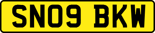 SN09BKW