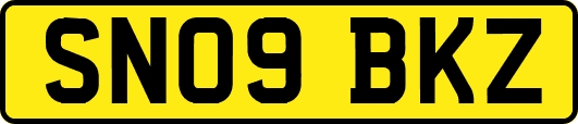 SN09BKZ