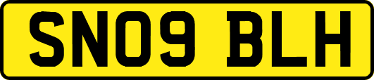 SN09BLH