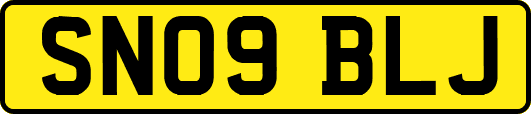 SN09BLJ