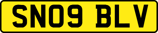 SN09BLV