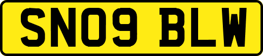 SN09BLW