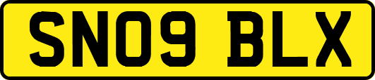 SN09BLX
