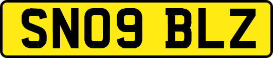 SN09BLZ