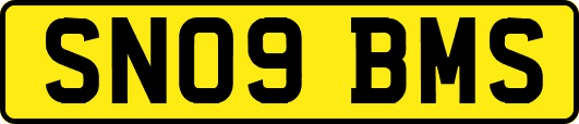 SN09BMS