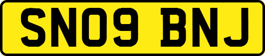 SN09BNJ