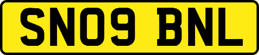 SN09BNL