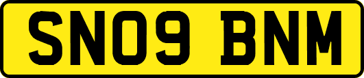 SN09BNM