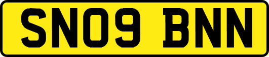 SN09BNN