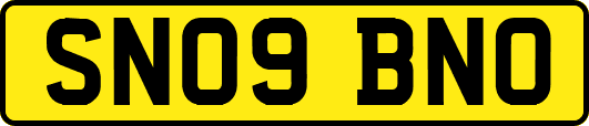 SN09BNO