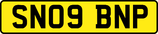SN09BNP