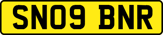 SN09BNR