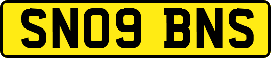 SN09BNS