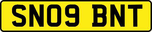 SN09BNT