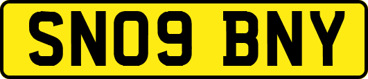 SN09BNY