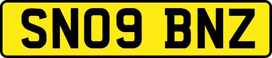 SN09BNZ