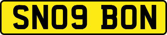 SN09BON