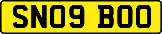 SN09BOO