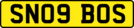 SN09BOS