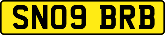 SN09BRB