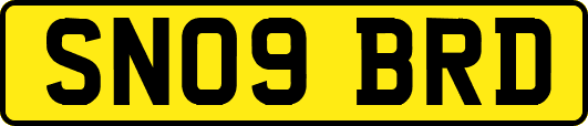 SN09BRD