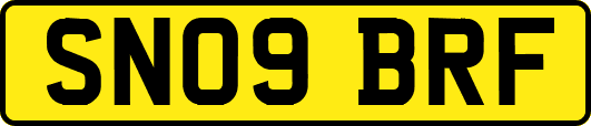 SN09BRF