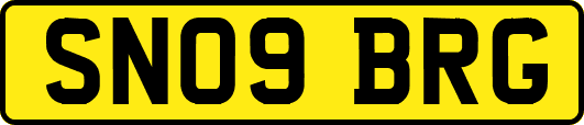 SN09BRG