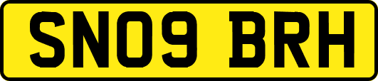 SN09BRH