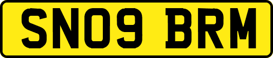 SN09BRM