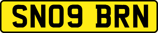 SN09BRN