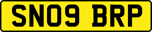 SN09BRP