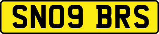 SN09BRS