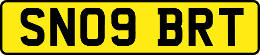 SN09BRT