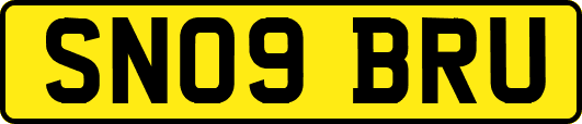 SN09BRU