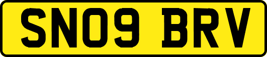 SN09BRV
