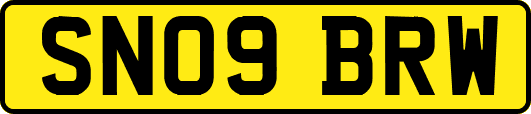 SN09BRW
