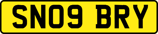 SN09BRY