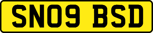 SN09BSD