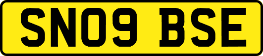 SN09BSE