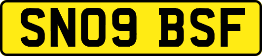 SN09BSF