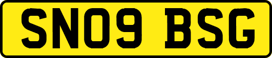 SN09BSG
