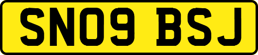 SN09BSJ