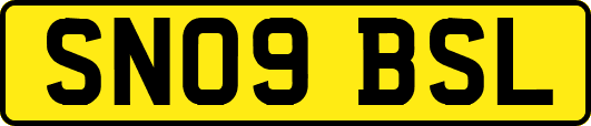 SN09BSL