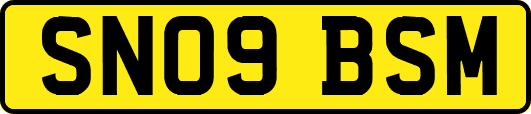 SN09BSM
