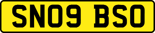 SN09BSO