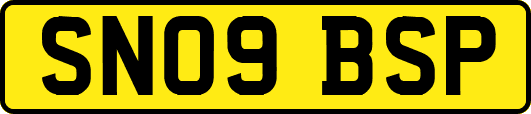 SN09BSP
